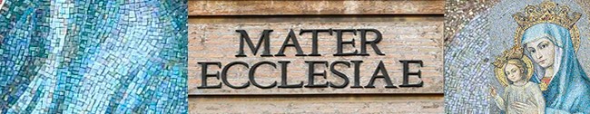 Pontificia Accademia Mariana Internazionale - Struttura